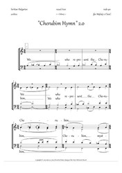 Cherubic Hymn (2.0, mix.quartet, Dm + Lit.) - EN